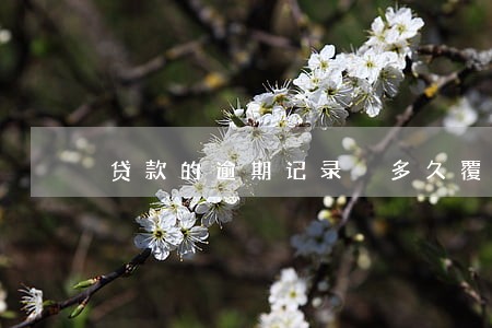 贷款的逾期记录 多久覆盖 贷款的逾期记录 多久覆盖